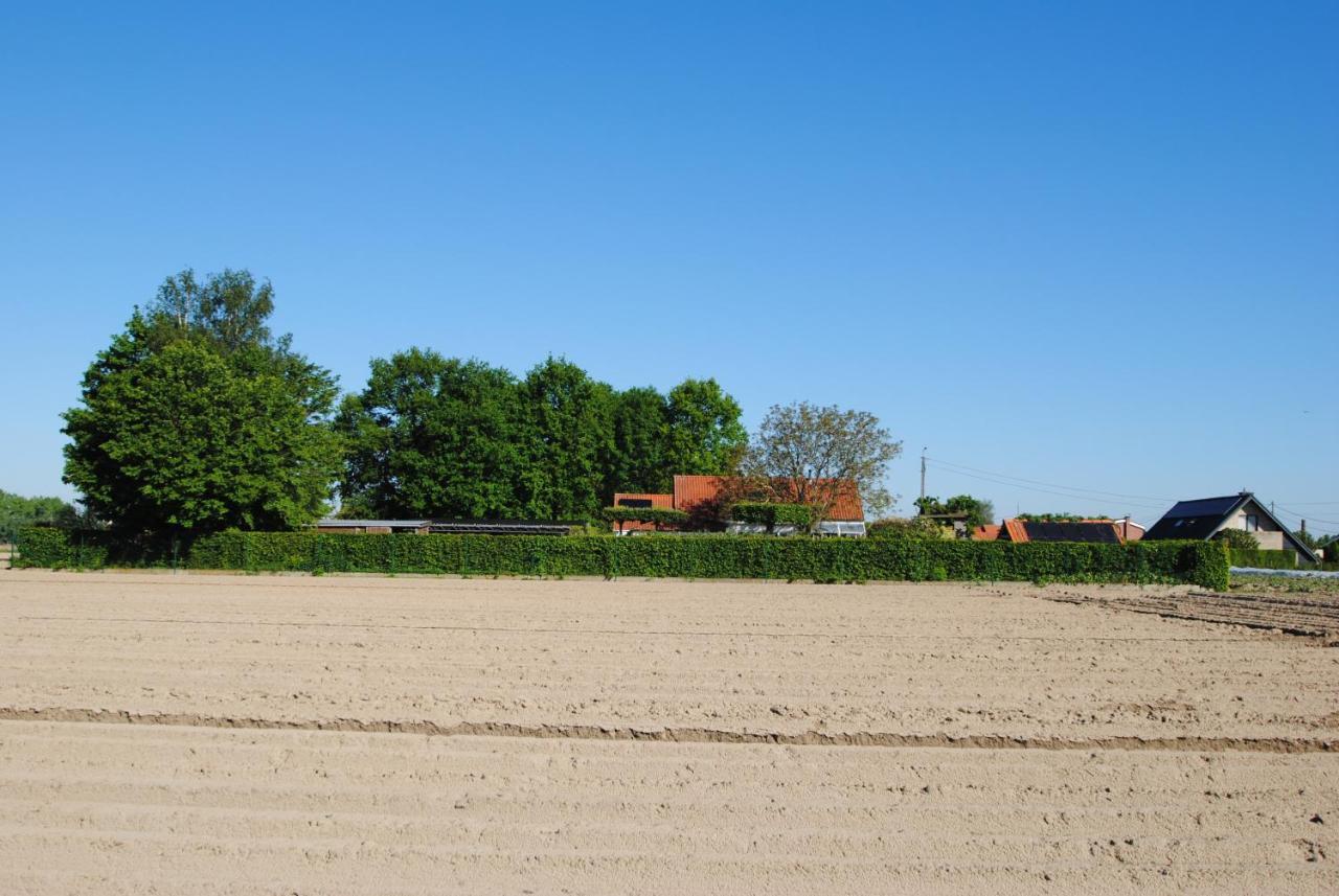 Tende Deerlijk Exterior foto